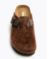 Esclop camel